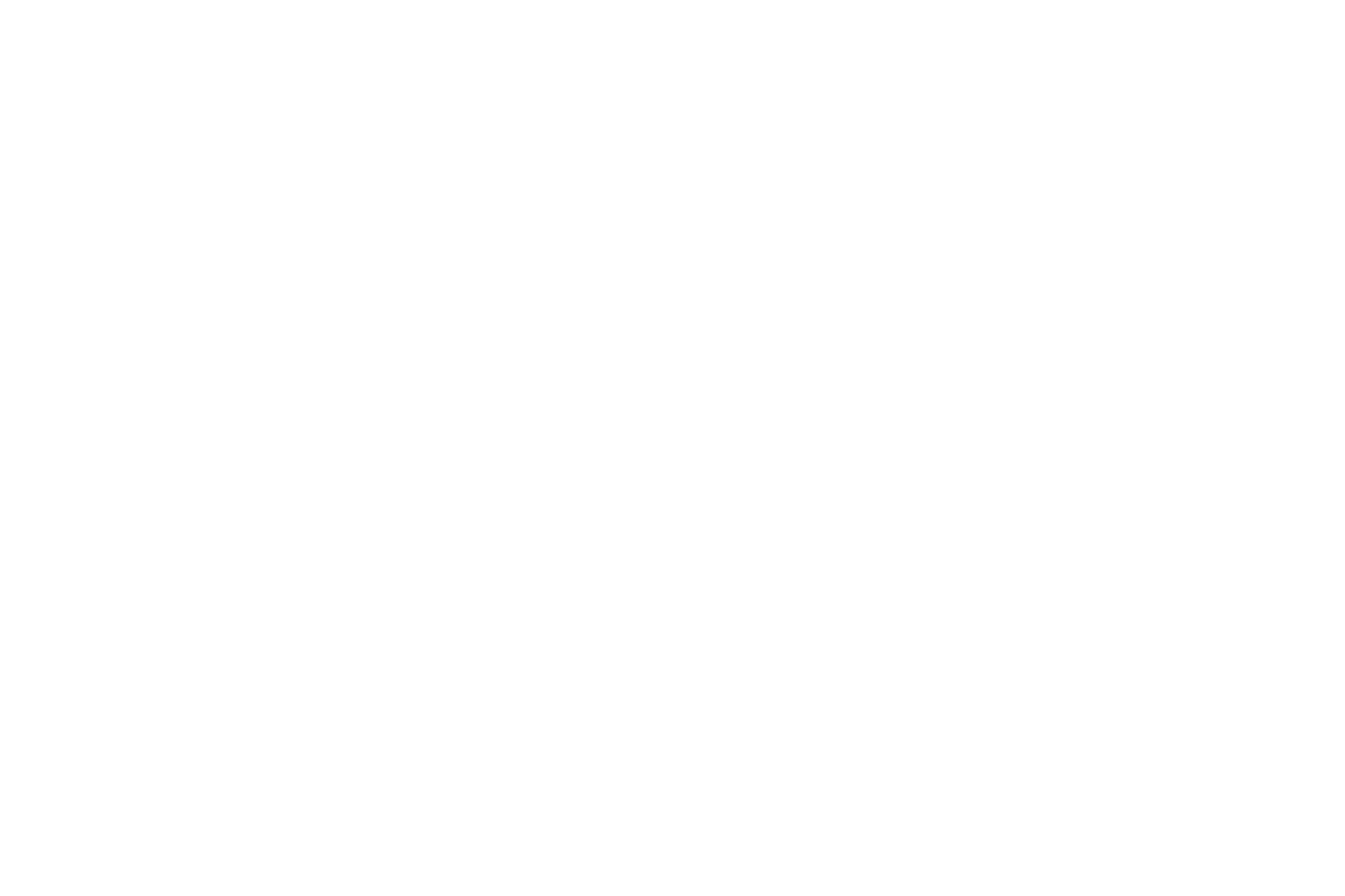 Trivium Wealth Management of Westlate Private Wealth Management